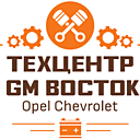 GM Восток
