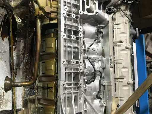 Фотография Техноулей